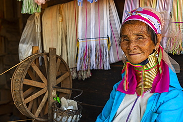 Portrait of a Padaung woman, (Giraffe woman) (Long-necked woman), with a traditional weaving chair, Loikaw area, Panpet, Kayah state, Myanmar (Burma), Asia