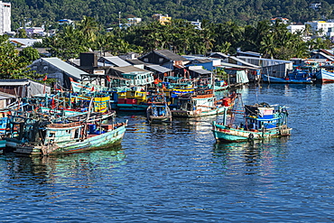 Fishing boats in the Duong Dong Fishing Harbour, island of Phu Quoc, Vietnam, Indochina, Southeast Asia, Asia