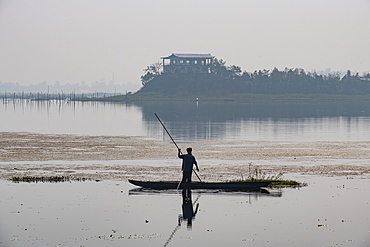 Fisherman in his canoe fishing, Loktak Lake, Moirang, Manipur, India, Asia