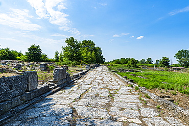 Archaeological Park of Dion, Mount Olympus, Greece, europe