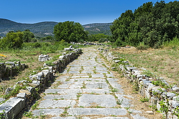 Heraoin of Samos, UNESCO World Heritage Site, Samos, Greek Islands, Greece, Europe