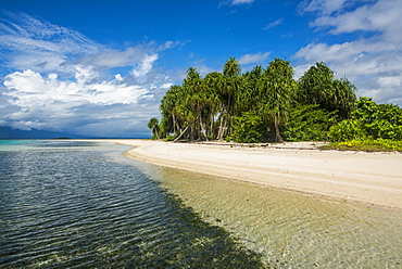 Turquoise water and white sand beach, White Island, Buka, Bougainville, Papua New Guinea, Pacific