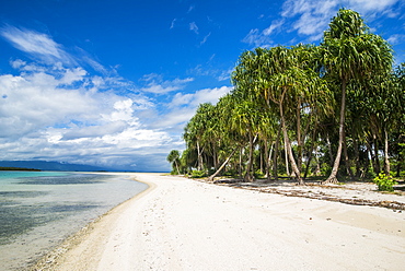 Turquoise water and white sand beach, White Island, Buka, Bougainville, Papua New Guinea, Pacific