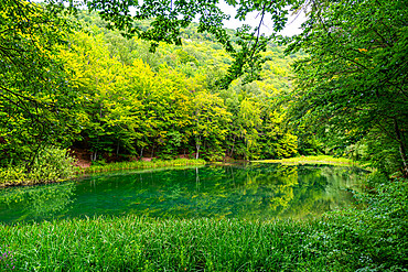 Beautiful lake in the nature reserve Grza, Serbia, Europe