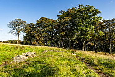 Remains from Bar Hill Fort, Antonine Wall, UNESCO World Heritage Site, Scotland, United Kingdom, Europe