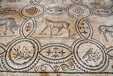 Interior of the Cathedral with the mosaic pavement, UNESCO World Heritage Site, Aquileia, Udine, Friuli-Venezia Giulia, Italy, Europe