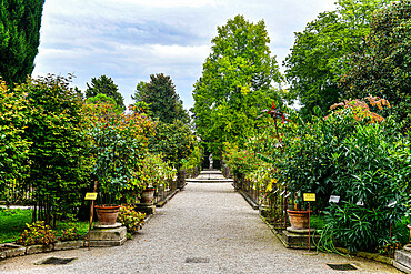 Orto Botanico di Padova, oldest botanical garden, UNESCO World Heritage Site, Padua, Veneto, Italy, Europe