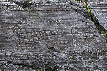 Rock Engravings, National Park of Naquane, UNESCO World Heritage Site, Valcamonica, Italy, Europe