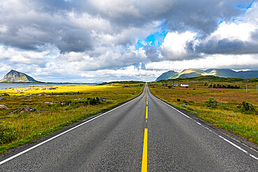 Long straight road, Lofoten, Nordland, Norway, Scandinavia, Europe