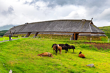 Horses grazing before the Reconstructed long house in the Lofotr Viking Museum, Vestvagoy, Lofoten, Nordland, Norway, Scandinavia, Europe