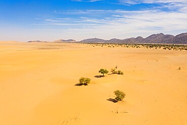 Aerial of crab's claw Arakao sand dune, Tenere Desert, Sahara, Niger, Africa