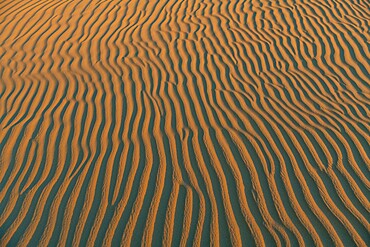 Sand ripples in the sand dunes of the Tenere Desert, Sahara, Niger, Africa