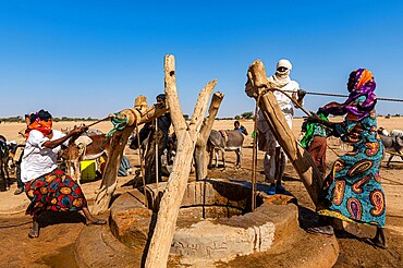 Tuaregs collecting water from a waterhole in the Sahel, north of Agadez, Niger, Africa