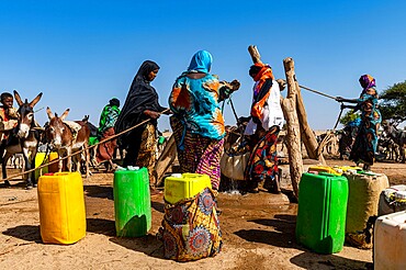 Tuaregs collecting water from a waterhole in the Sahel, north of Agadez, Niger, Africa