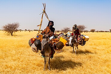 Peul woman with her children on their donkeys in the Sahel, Niger, Africa