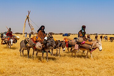 Peul woman with her children on their donkeys in the Sahel, Niger, Africa