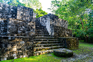 Calakmul, UNESCO World Heritage Site, Campeche, Mexico, North America