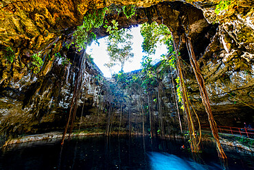 Cenote Oxmal, Valladolid, Yucatan, Mexico, North America