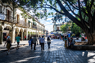 Main square, Oaxaca, Mexico, North America