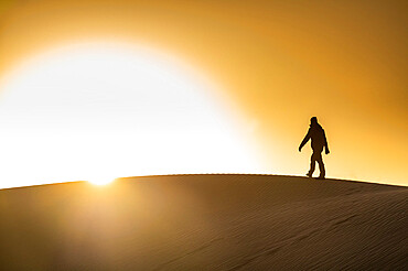 Man walking in backlight on a sand dune, Tenere desert, Niger, West Africa, Africa