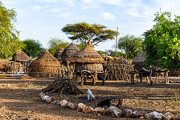 Traditional village huts of the Toposa tribe, Eastern Equatoria, South Sudan, Africa