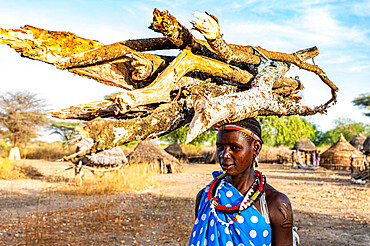 Woman carrying firewood on her head, Toposa tribe, Eastern Equatoria, South Sudan, Africa