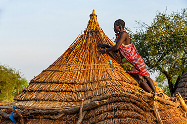 Woman repairing a roof of a traditional build hut of the Toposa tribe, Eastern Equatoria, South Sudan, Africa