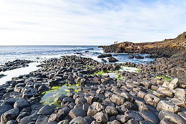 The Giants Causeway, UNESCO World Heritage Site, County Antrim, Ulster, Northern Ireland, United Kingdom, Europe 