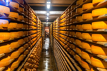 Guryere cheese factory with shelves of cheeses, Gruyere, Fribourg, Switzerland, Europe