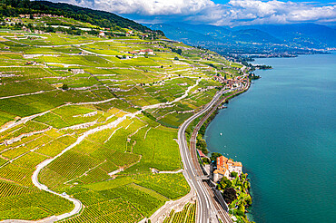 Aerial of the Lavaux Vineyard Terraces, UNESCO World Heritage Site, Lake Geneva, Switzerland, Europe