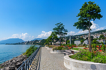 Gardens along Lake Neuchatel, Neuchatel, Switzerland, Europe