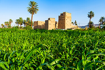 Traditional build mud towers used as living homes, Najran, Kingdom of Saudi Arabia, Middle East