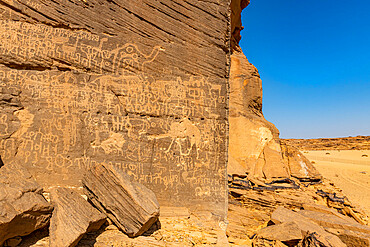 Rock carvings, Bir Hima Rock Petroglyphs and Inscriptions, UNESCO World Heritage Site, Najran, Kingdom of Saudi Arabia, Middle East