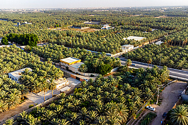 Aerial of the Al Ahsa (Al Hasa) Oasis, largest Oasis in the world, UNESCO World Heritage Site, Hofuf, Kingdom of Saudi Arabia, Middle East