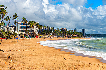 Palm fringed beach, Maceio, Alagoas, Brazil, South America