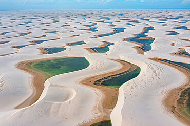 Aerial of freshwater lakes between huge sand dunes in the Lencois Maranhenses National Park, Maranhao, Brazil, South America