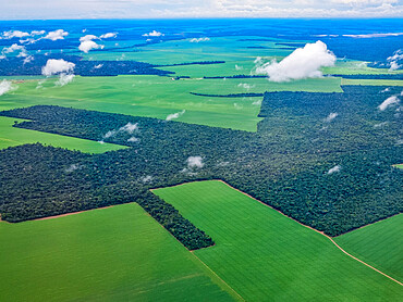 Aerial of the giant soy fields around Sinop, Mato Grosso, Brazil, South America