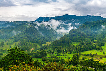 View over the Valle de Cocora, UNESCO World Heritage Site, Coffee Cultural Landscape, Salento, Colombia, South America