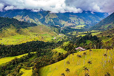 Aerial of the Cocora Valley, UNESCO World Heritage Site, Coffee Cultural Landscape, Salento, Colombia, South America