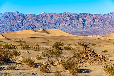 Mesquite Flat Sand Dunes, Death Valley, California, USA