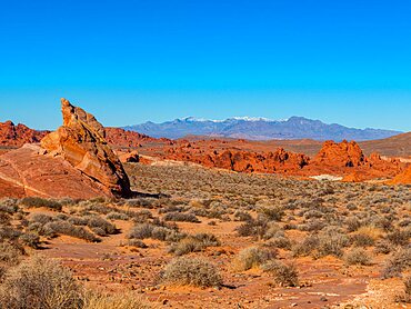 Valley of Fire State Park, Nevada, USA