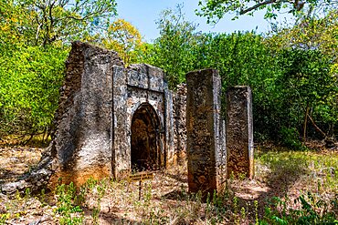 Ruins of medieval Swahili coastal settlements of Gedi, Kilifi, Kenya