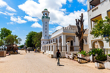 Lamu Town,, UNESCO World Heritage Site, island of Lamu, Kenya, East Africa, Africa