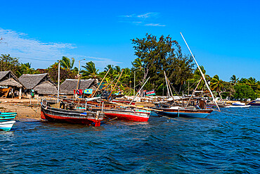 Dhows in the harbour of Shela, island of Lamu, Shela, Kenya, East Africa, Africa