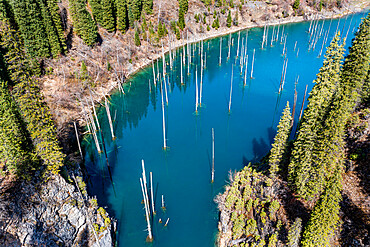 Aerial of the Kaindy Lake with its dead trees, Kolsay Lakes National Park, Tian Shan mountains, Kazakhstan, Central Asia, Asia