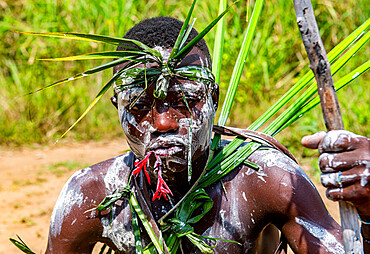 Pygmy warrior, Kisangani, Democratic Republic of the Congo, Africa