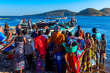 Fishermen bringing their morning catch to the market, Mpulungu, Lake Tanganyika, Zambia, Africa