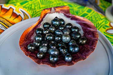 Black pearls on Pearl farm, Rikitea village, Mangareva, Gambier archipelago, French Polynesia, South Pacific, Pacific