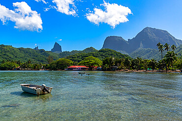 Little boat in a little bay, Moorea (Mo'orea), Society Islands, French Polynesia, South Pacific, Pacific