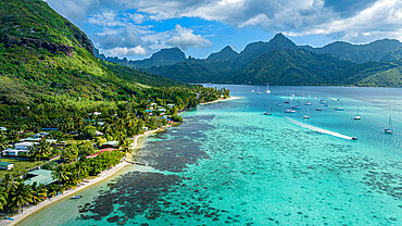 The lagoon of Moorea (Mo'orea), Society Islands, French Polynesia, South Pacific, Pacific